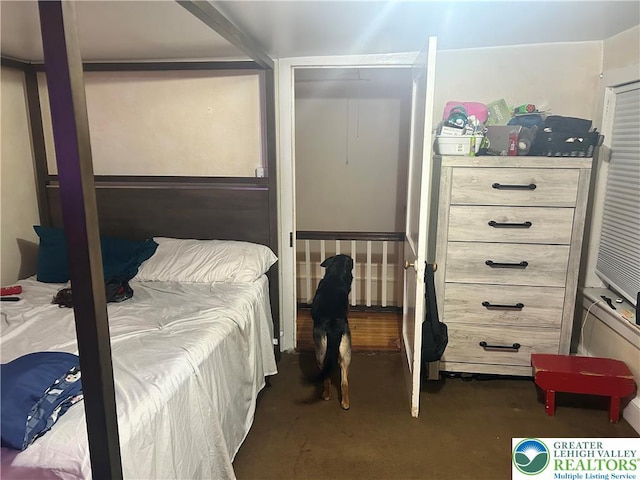 8204 Brown St, Washington Twp, PA 18079 - view of bedroom