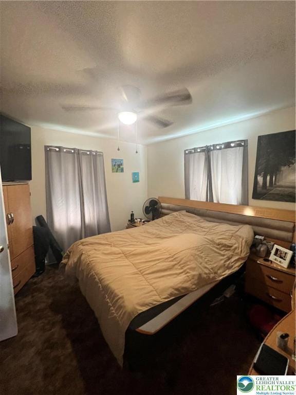 8204 Brown St, Washington Twp, PA 18079 - bedroom with ceiling fan, dark colored carpet, and a textured ceiling