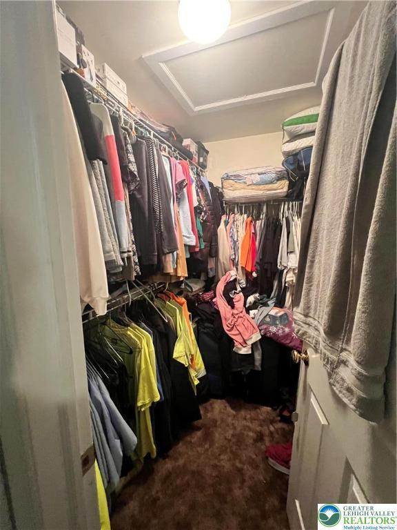 8204 Brown St, Washington Twp, PA 18079 - walk in closet with attic access and carpet flooring