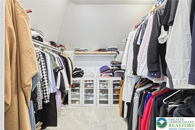 1231 Oakside Dr, Hanover Twp, PA 18017 - walk in closet featuring carpet floors