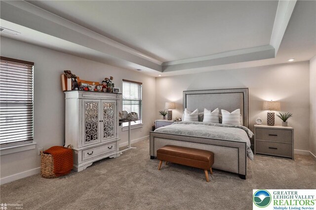 3911 Dewalt St, Bethlehem Twp, PA 18020 - bedroom featuring a raised ceiling, carpet, and baseboards