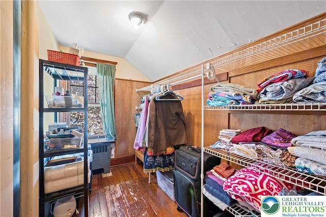 spacious closet featuring wood-type flooring and lofted ceiling