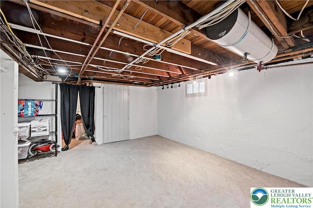 basement featuring carpet flooring