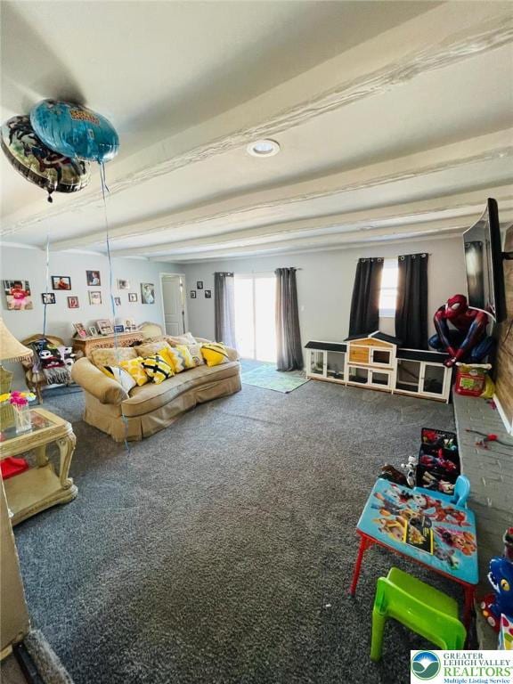recreation room with carpet