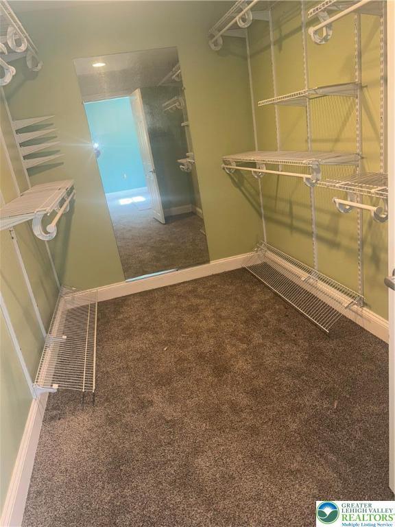 walk in closet featuring carpet floors
