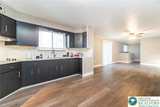 kitchen featuring open floor plan, under cabinet range hood, stovetop, tasteful backsplash, and a sink