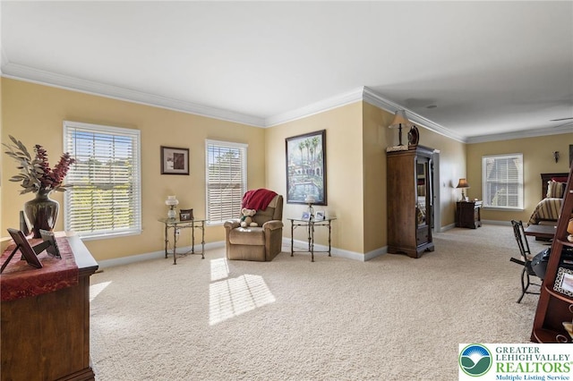 living area featuring crown molding, baseboards, and carpet