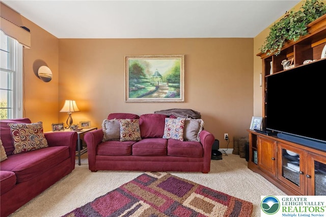 living area with carpet floors