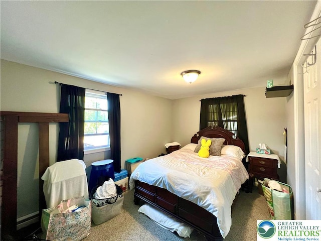 bedroom with carpet floors