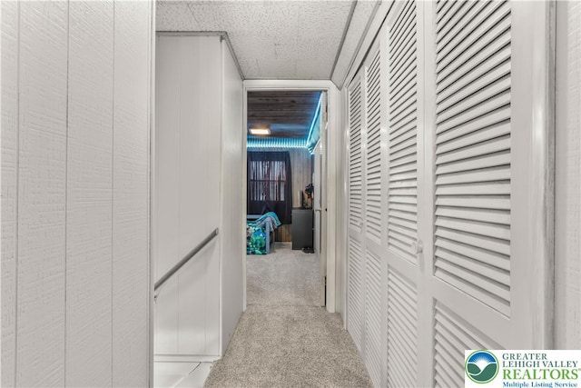 hall with carpet flooring and a drop ceiling