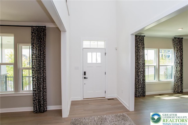 entrance foyer featuring baseboards, plenty of natural light, and light wood-type flooring