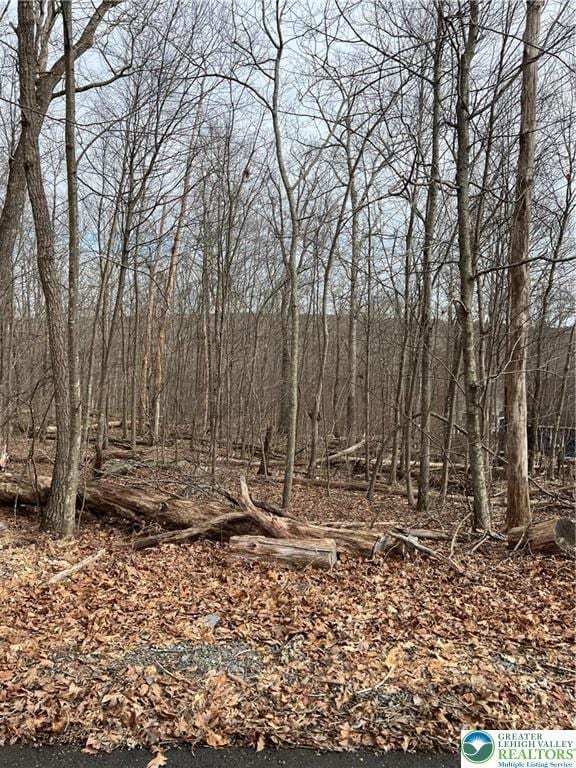 535 Maxatawny Dr, Coolbaugh Twp, PA 18347 - view of local wilderness featuring a wooded view