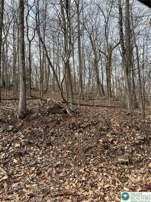 537 Maxatawny Dr, Coolbaugh Twp, PA 18347 - view of local wilderness