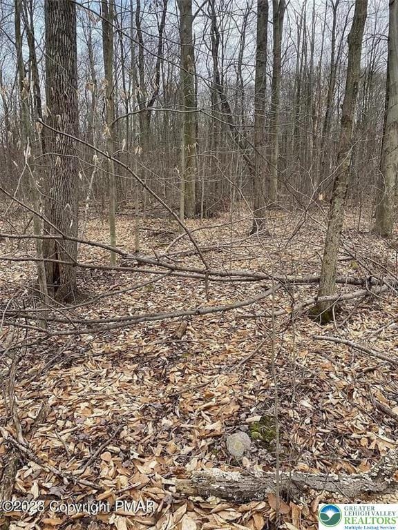 537 Maxatawny Dr, Coolbaugh Twp, PA 18347 - view of local wilderness