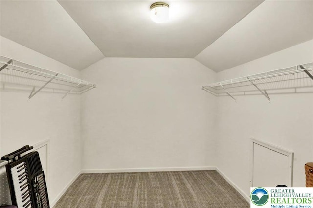 walk in closet with carpet flooring and lofted ceiling