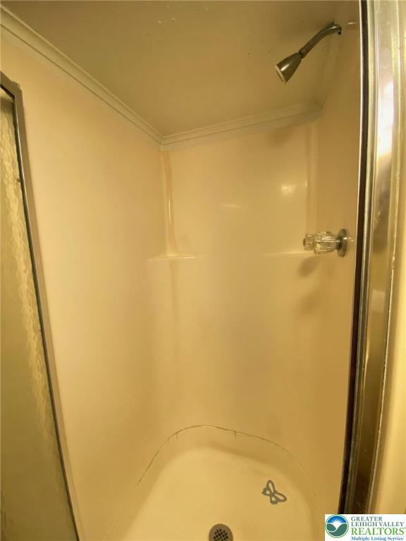 bathroom featuring ornamental molding and a shower