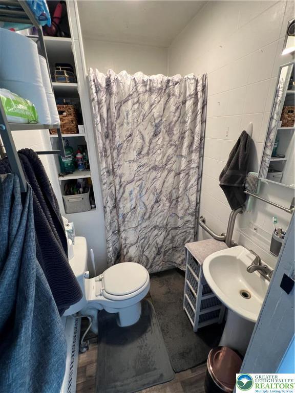 full bathroom with a sink, toilet, and curtained shower
