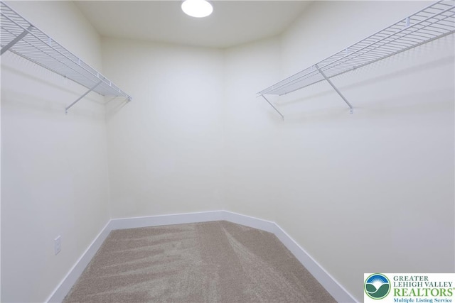 21 Piute Trl, Penn Forest Township, PA 18210 - spacious closet with carpet