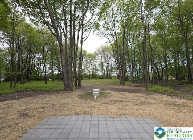 21 Piute Trl, Penn Forest Township, PA 18210 - view of yard