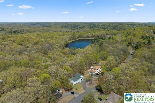 511 Lakeside Dr, Stroud Twp, PA 18301 - bird's eye view featuring a view of trees and a water view