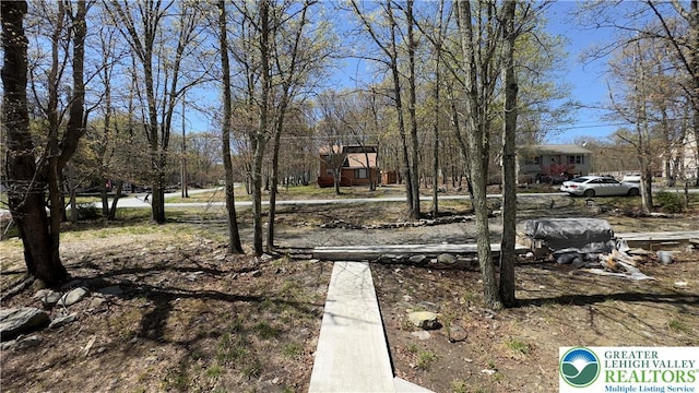 194 Murphy Cir, Lehman Twp, PA 18324 - view of yard