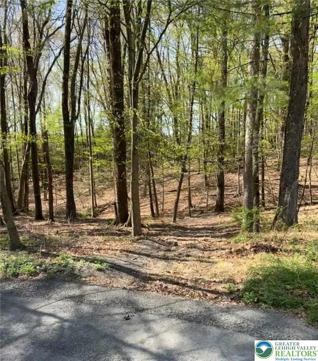 Tiger Lilly Ln, Chestnuthill Twp, PA 18353 - exterior space