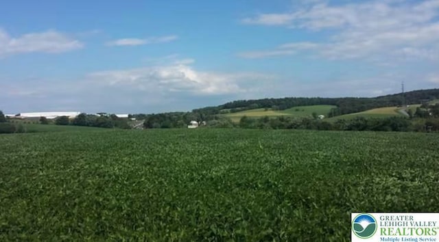 view of local wilderness with a rural view