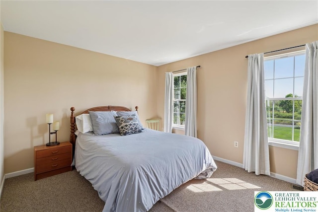 2735 Limeport Rd, Milford Twp, PA 18951 - carpeted bedroom featuring baseboards