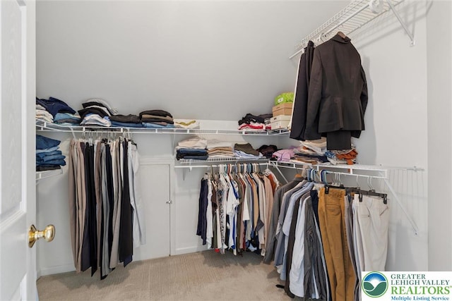 2735 Limeport Rd, Milford Twp, PA 18951 - walk in closet featuring light carpet