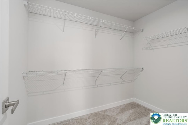 1022 Watson Ct, Upper Macungie Twp, PA 18051 - spacious closet with carpet flooring