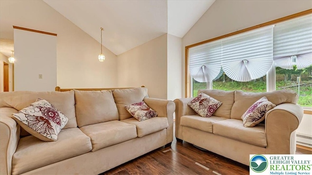 838 Cayuga Way, Stroud Twp, PA 18360 - living room with lofted ceiling and dark wood-style flooring