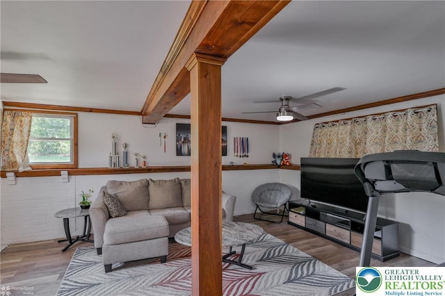 living room featuring crown molding, wood finished floors, and a ceiling fan