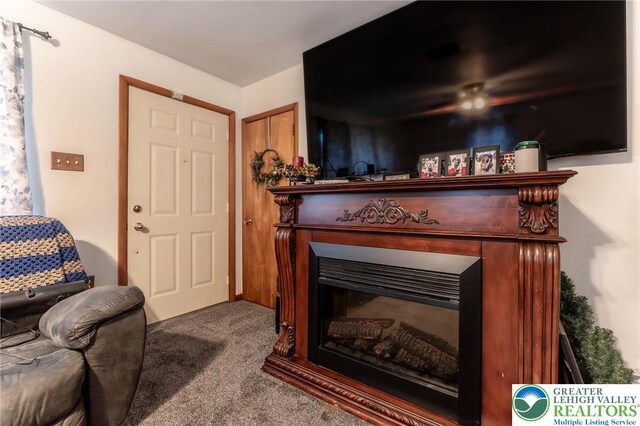 1804 Long Run Rd, Pa, PA 17972 - carpeted living area featuring a fireplace