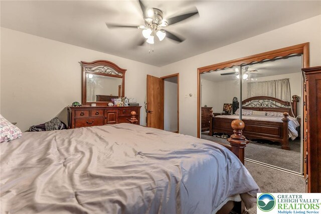 1804 Long Run Rd, Pa, PA 17972 - carpeted bedroom with ceiling fan and a closet
