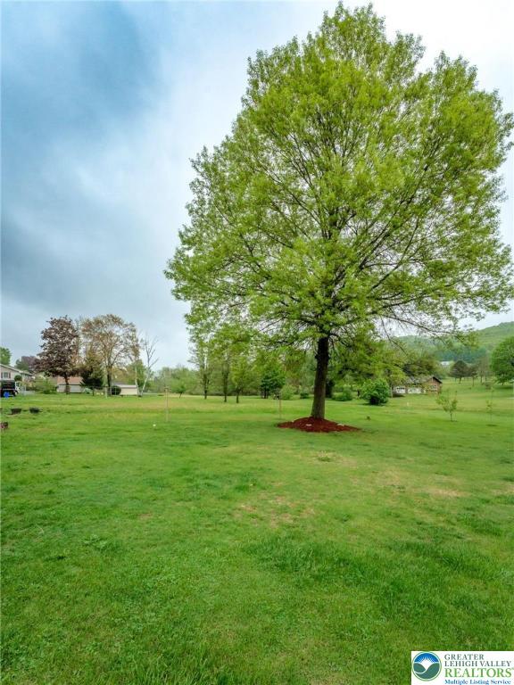1804 Long Run Rd, Pa, PA 17972 - view of yard
