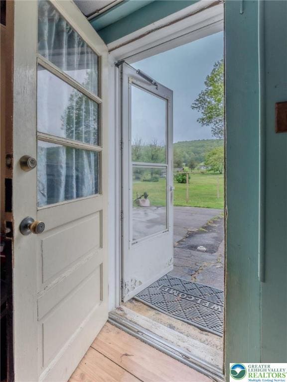 1804 Long Run Rd, Pa, PA 17972 - entryway featuring light wood-style flooring and a wealth of natural light