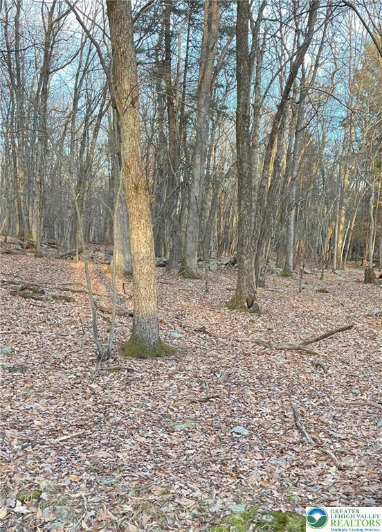 80 Spokane Rd, Penn Forest Township, PA 18210 - view of local wilderness