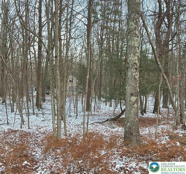 80 Spokane Rd, Penn Forest Township, PA 18210 - exterior space