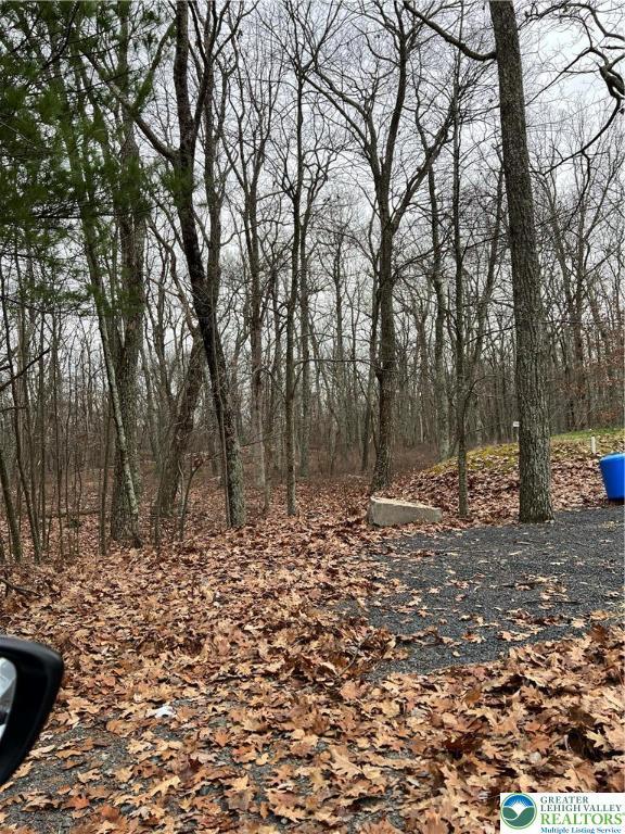 105 Cliff Ct, Pike, PA 18328 - view of tree filled area