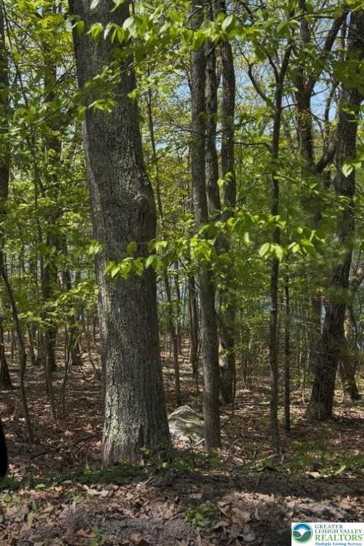 105 Cliff Ct, Pike, PA 18328 - view of local wilderness