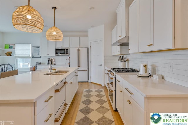 kitchen with a sink, tasteful backsplash, under cabinet range hood, light wood finished floors, and high quality appliances