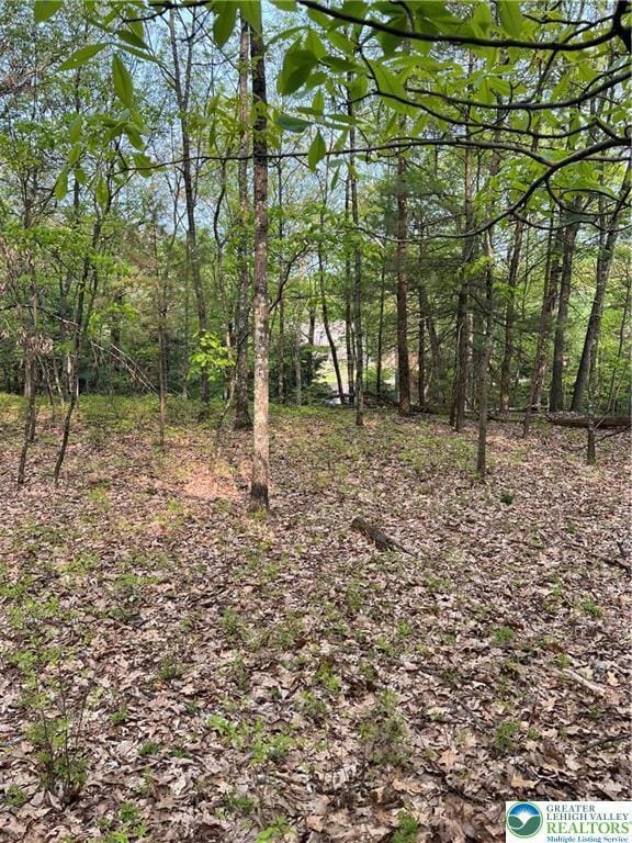 179 Oakridge Dr, Lehman Twp, PA 18328 - view of local wilderness with a view of trees