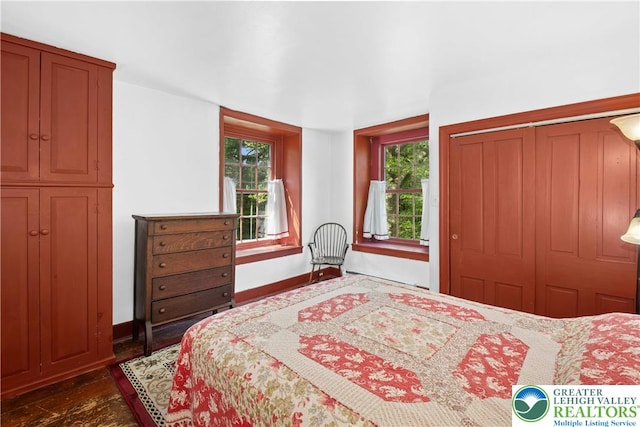 8043 Richlandtown Rd, East Rockhill Twp, PA 18951 - bedroom featuring multiple windows, baseboards, and a closet