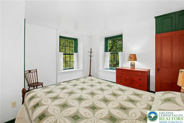 8043 Richlandtown Rd, East Rockhill Twp, PA 18951 - view of bedroom