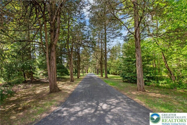 8043 Richlandtown Rd, East Rockhill Twp, PA 18951 - view of street featuring a wooded view