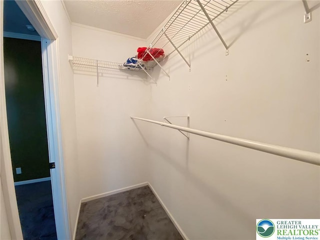 spacious closet with carpet floors