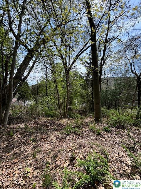 view of wooded area