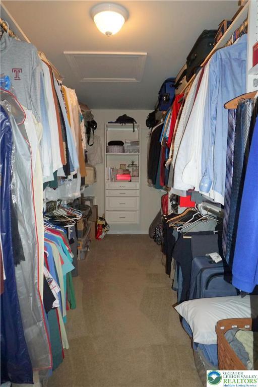6115 Timberknoll Dr, Lower Macungie Twp, PA 18062 - walk in closet with attic access and carpet
