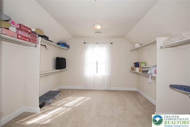 2690 Greens Dr, Lower Saucon Twp, PA 18055 - walk in closet with carpet flooring and vaulted ceiling