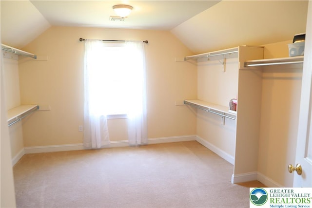 2690 Greens Dr, Lower Saucon Twp, PA 18055 - spacious closet with vaulted ceiling and light carpet